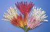 Bunch of Flowers