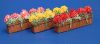 Window Box With Yellow Flowers